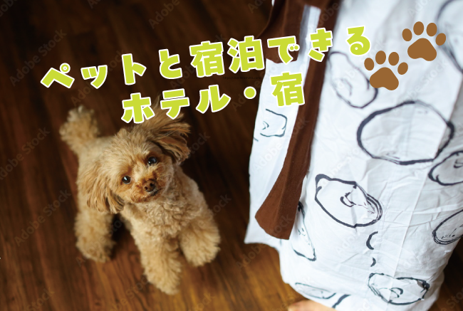 ペットと宿泊できる宿・ホテル